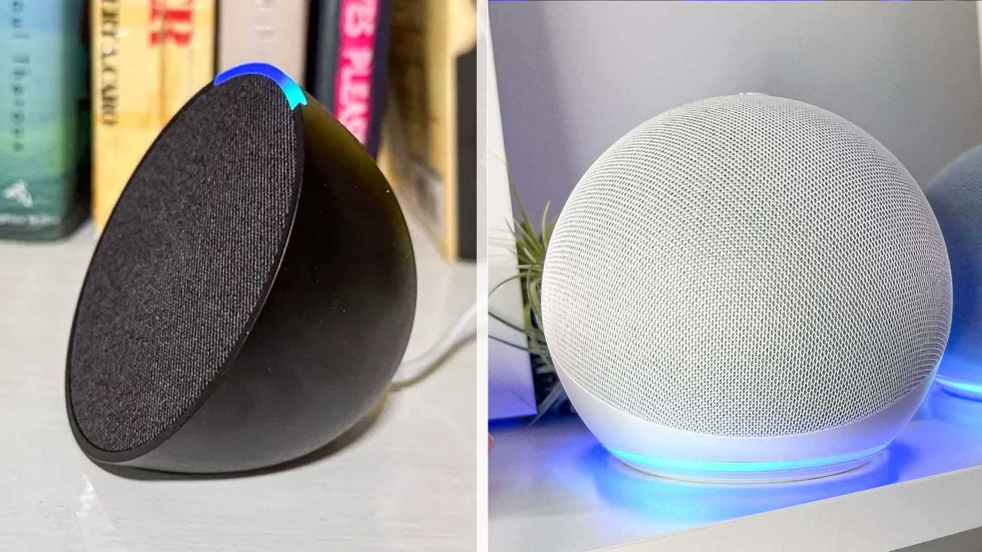 echo pop vs dot